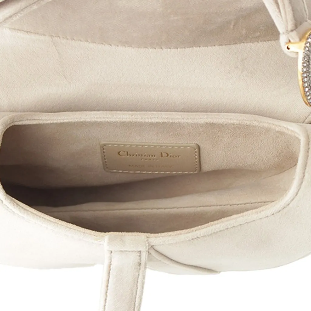 Dior Mini Velvet Crystal Embellished Hardware Saddle Bag MultiColor Very good - Box View