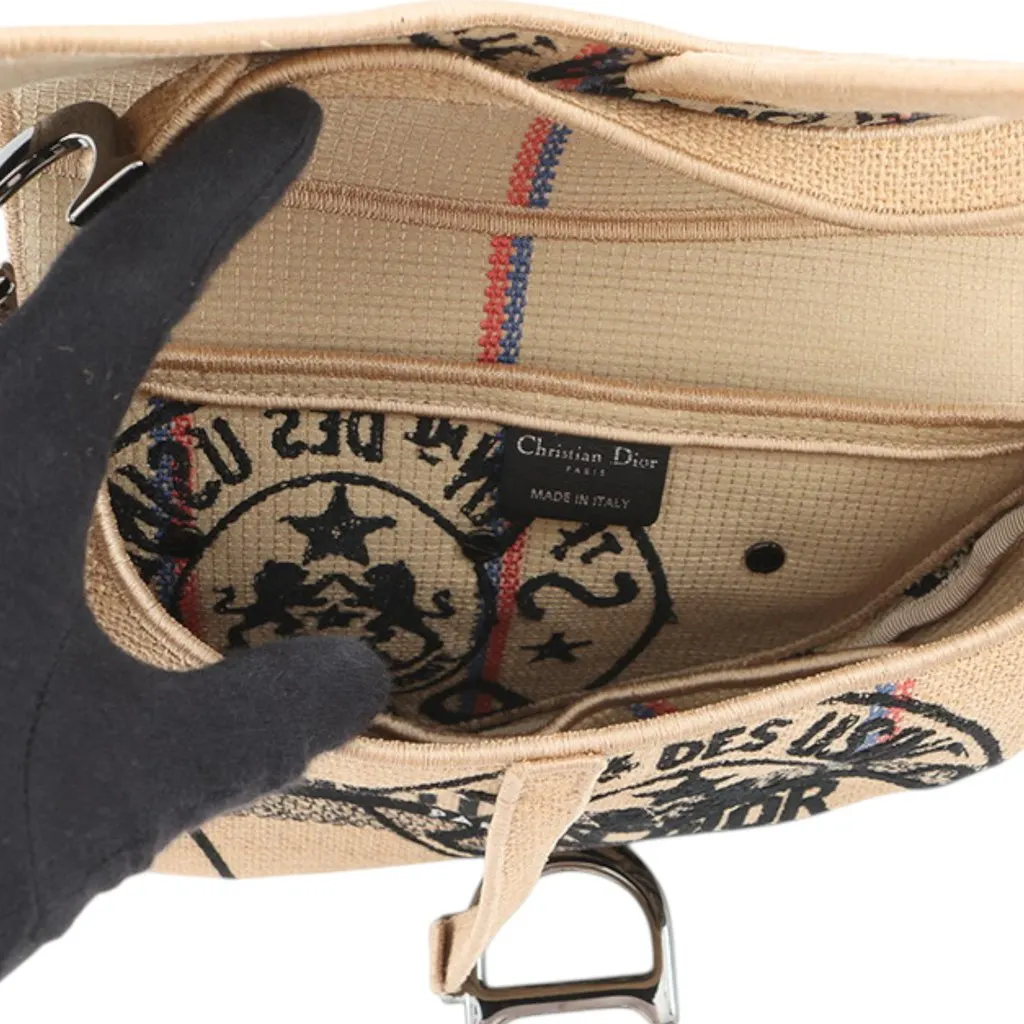 Dior Jute Union Embroidered Saddle Bag Beige Very good - Model View