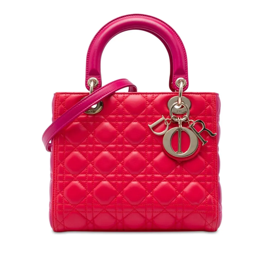 Dior متوسطة Bicolor جلد الحمل كاناج ليدي ديور