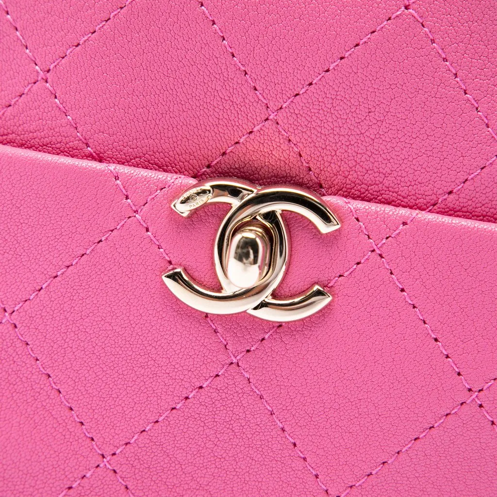 Chanel Stitched Goatskin Casual Trip North South Camera Case Pink Leather Very good - Box View