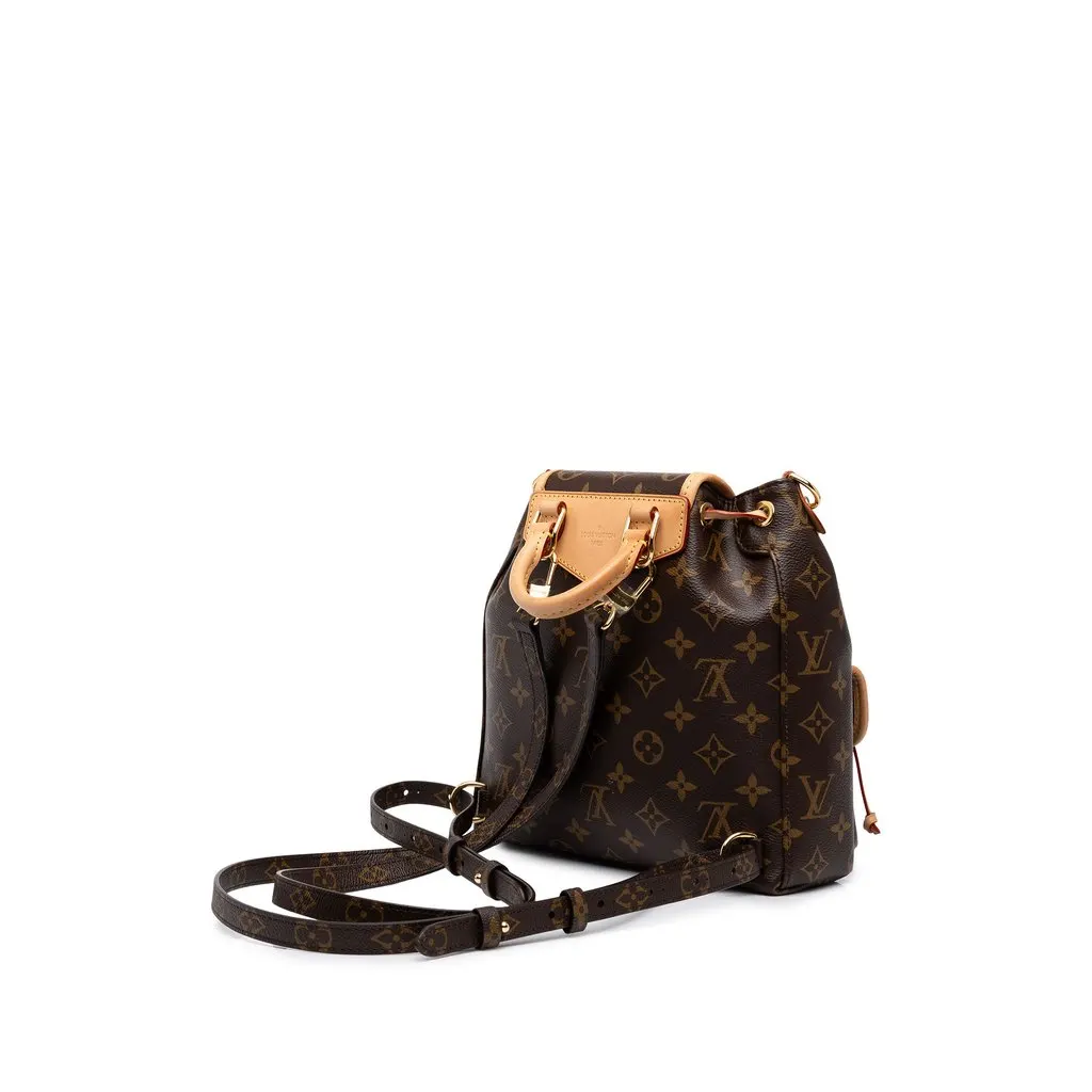 Louis Vuitton Monogram Excursion PM Brown Canvas Very good - Back View
