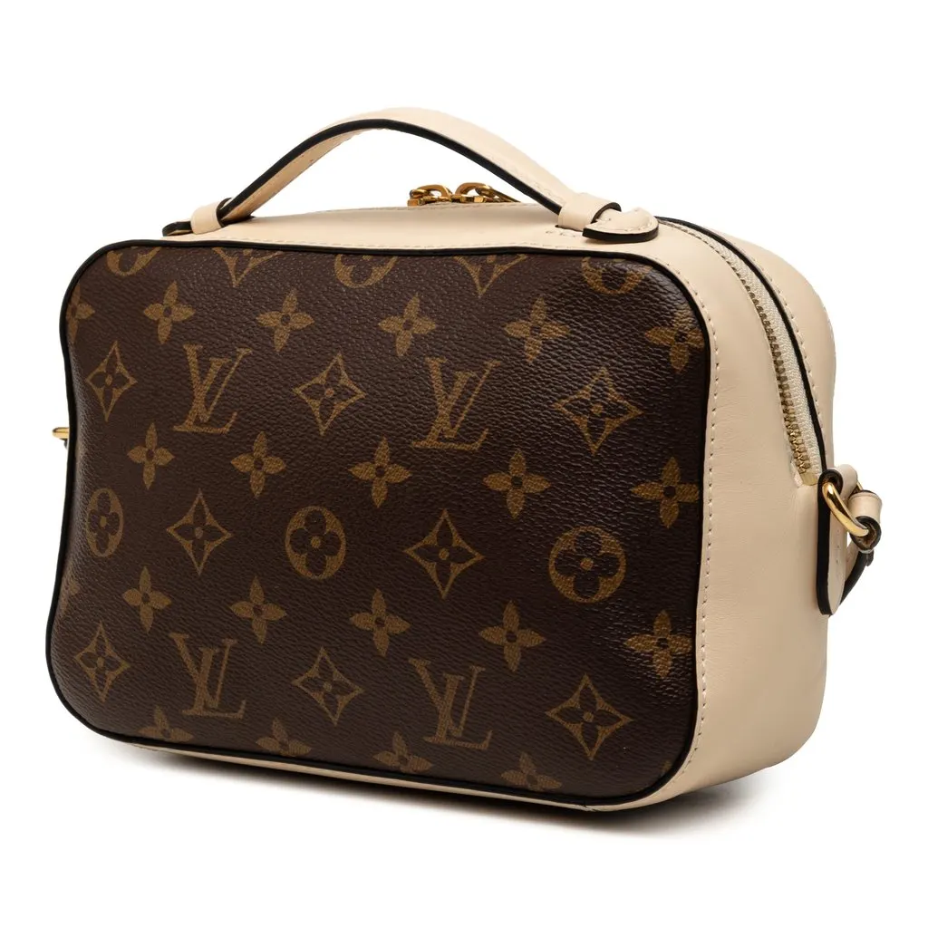 Louis Vuitton Monogram Saintonge Brown Very good - Back View