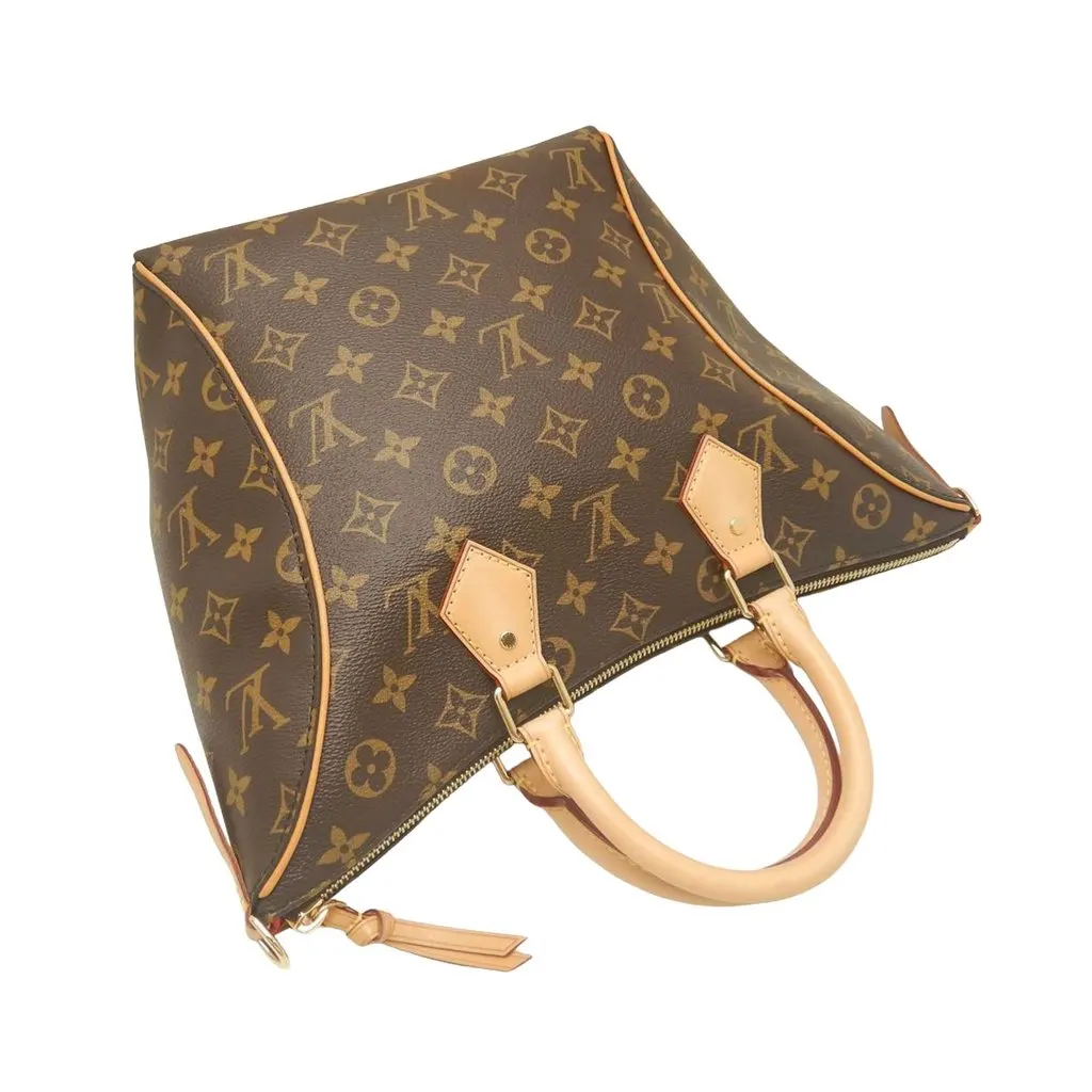 Louis Vuitton Monogram Tournelle PM Brown Very good - Back View