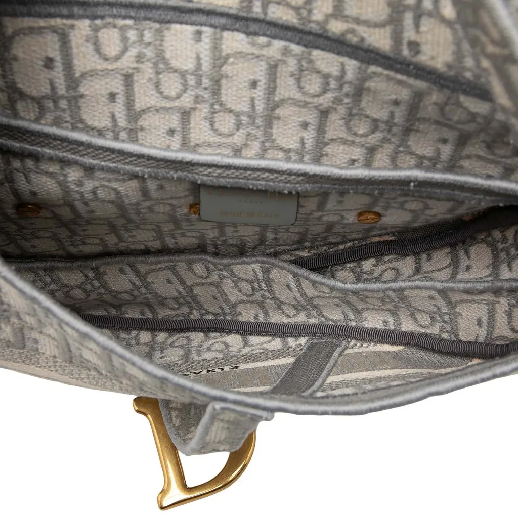 Dior Oblique Embroidered Canvas Saddle Bag MultiColor Very good - Model View