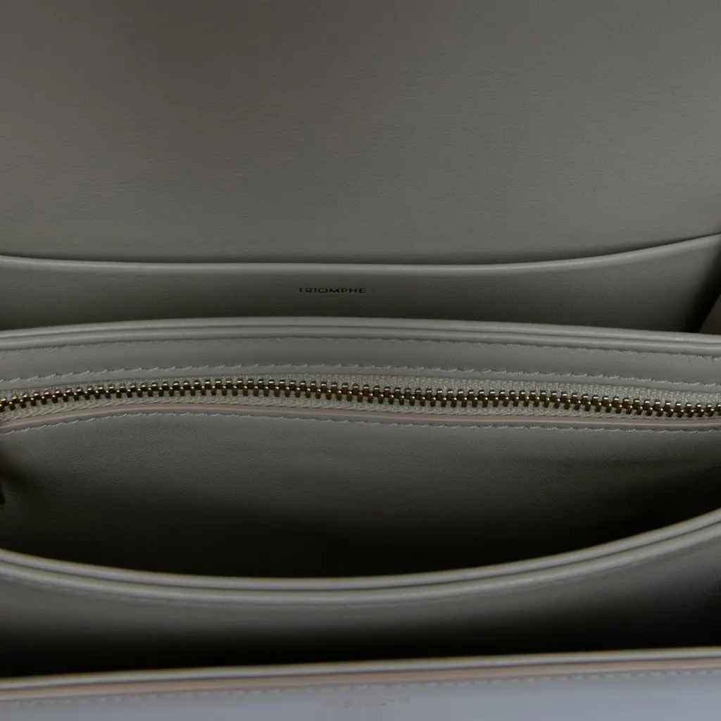 Celine Classique Shiny Calfskin Triomphe Crossbody Brown Leather Very good - Model View