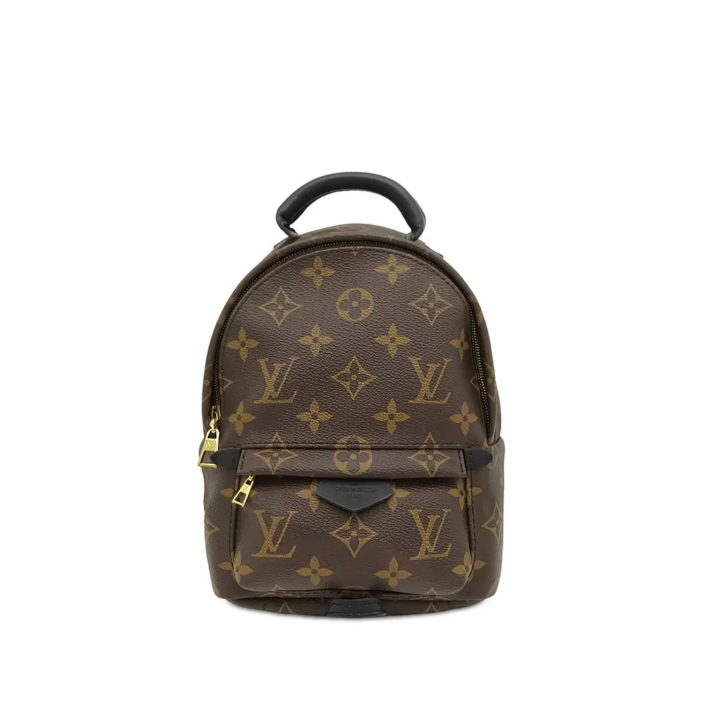 Louis Vuitton Monogram Mini Palm Springs Brown Canvas Good - Front View