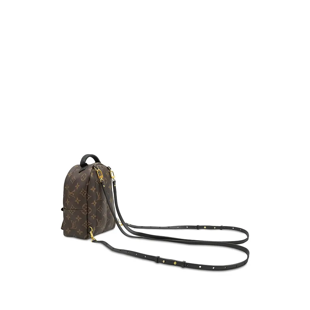 Louis Vuitton Monogram Mini Palm Springs Brown Canvas Good - Back View