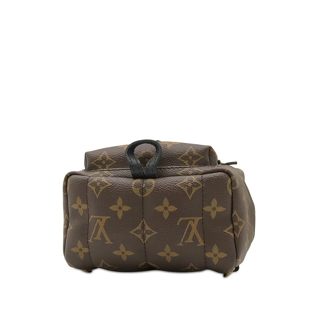 Louis Vuitton Monogram Mini Palm Springs Brown Canvas Good - Inside View