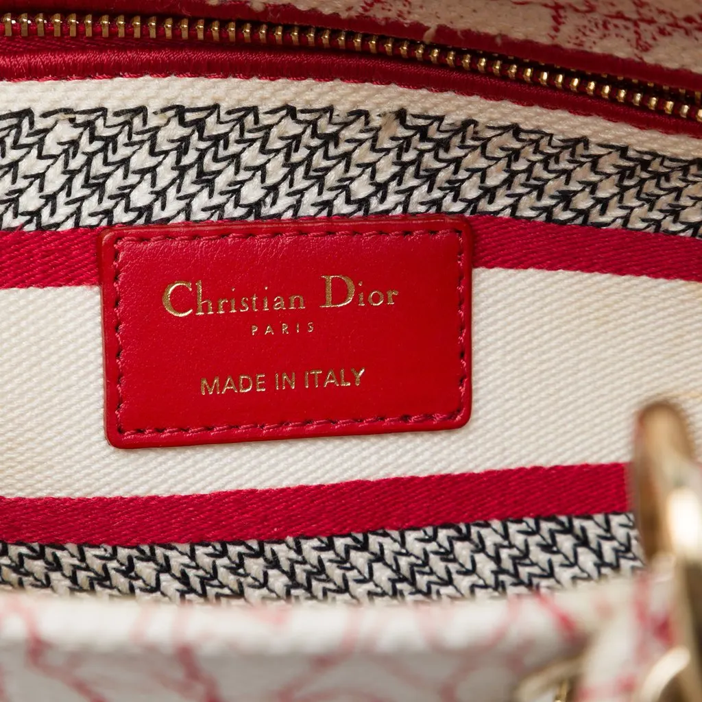 Dior DiorAmour Medium Embroidered Canvas Royale Lady D Lite Red Canvas Very good - Box View