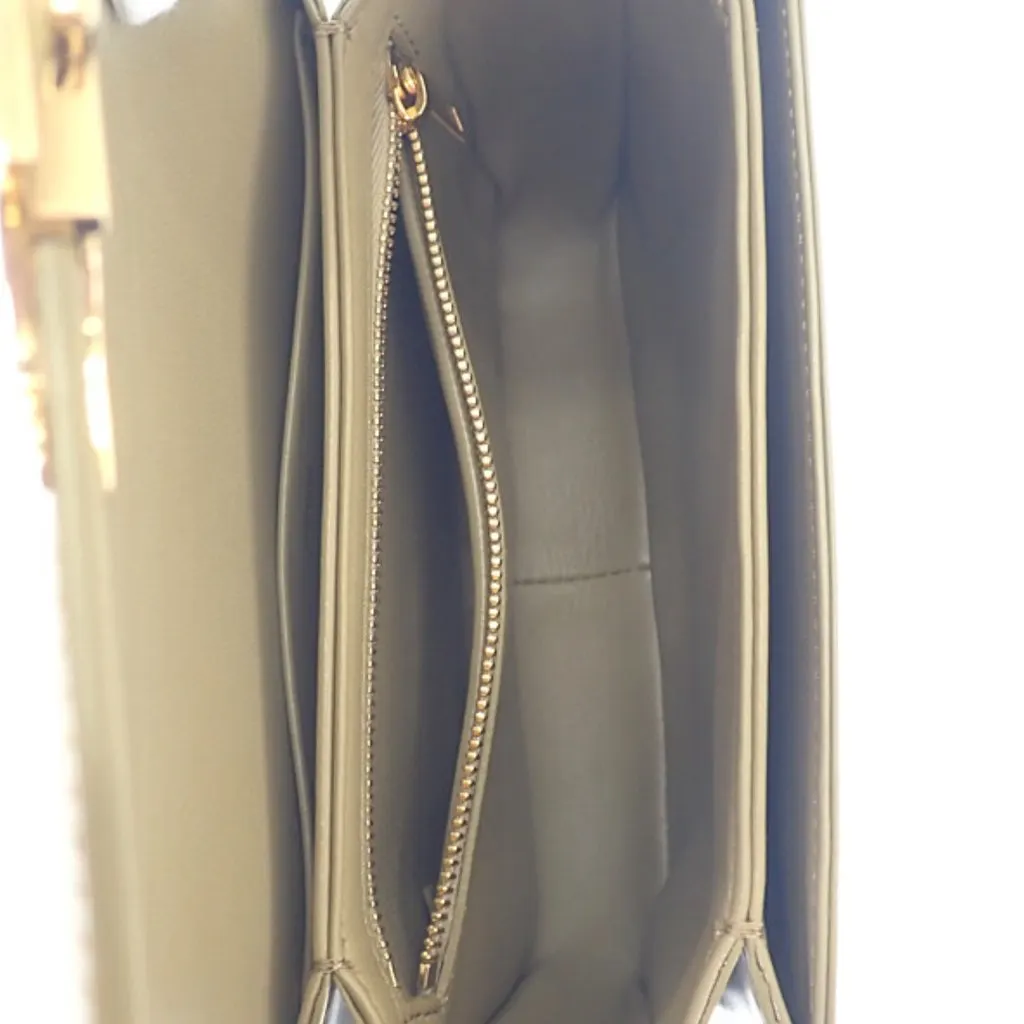 Celine Teen Shiny Calfskin Triomphe Crossbody Brown Leather Very good - Model View