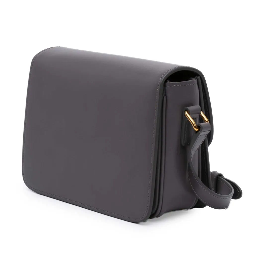 Celine Teen Shiny Calfskin Triomphe Crossbody MultiColor Leather Very good - Back View