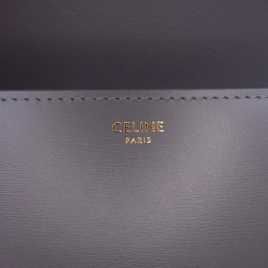 Celine Teen Shiny Calfskin Triomphe Crossbody MultiColor Leather Very good - Box View