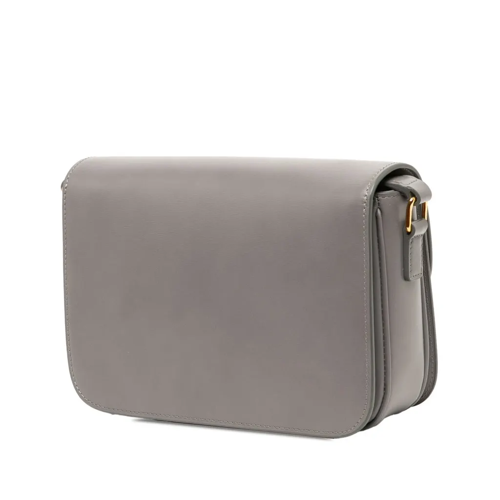 Celine Classique Shiny Calfskin Triomphe Crossbody Grey Leather Very good - Back View