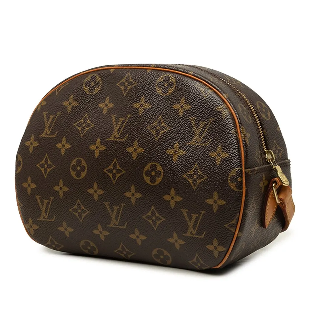 Louis Vuitton Monogram Blois Brown Canvas Good - Back View