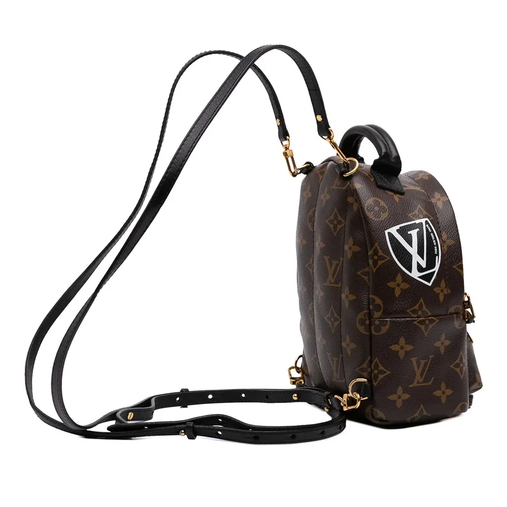 Louis Vuitton Monogram World Tour Mini Palm Springs Brown Very good - Back View