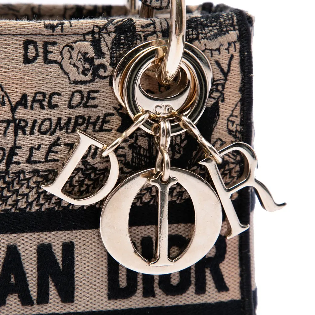 Dior Mini Embroidered Canvas Plan de Paris Lady D Lite Beige Very good - Box View
