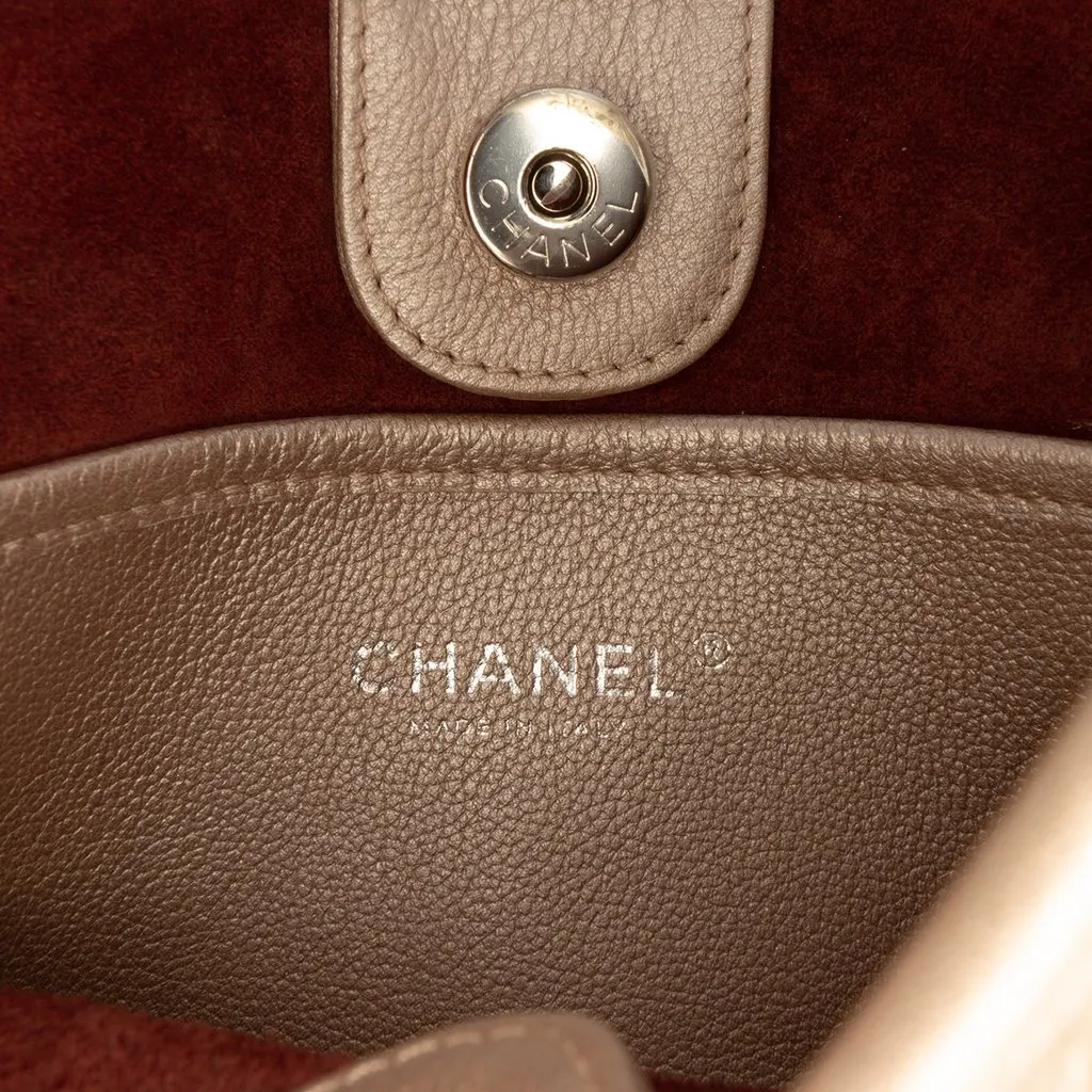 Chanel Small Quilted Metallic Calfskin Jungle Stroll Hobo Pink Leather Very good - Box View