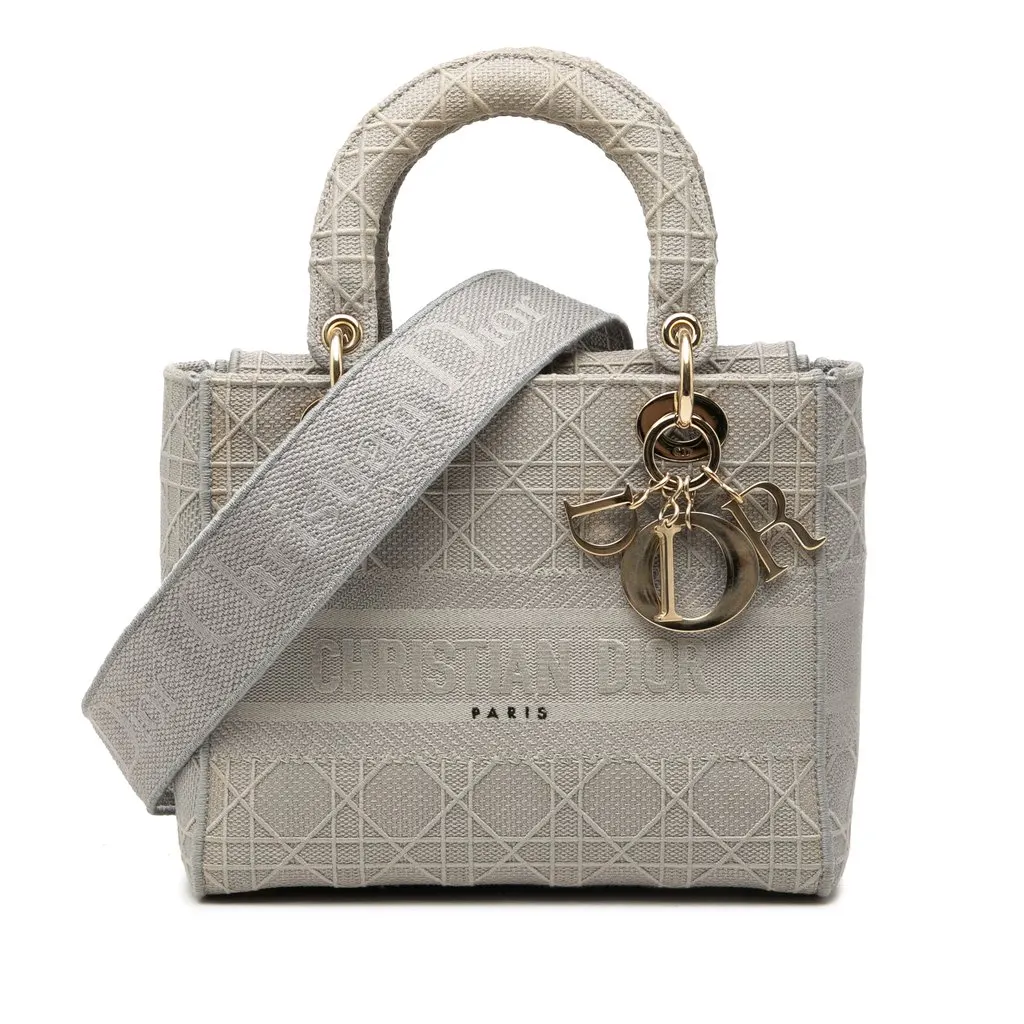Dior Medium Embroidered Canvas Cannage Lady D Lite MultiColor Very good - Front View