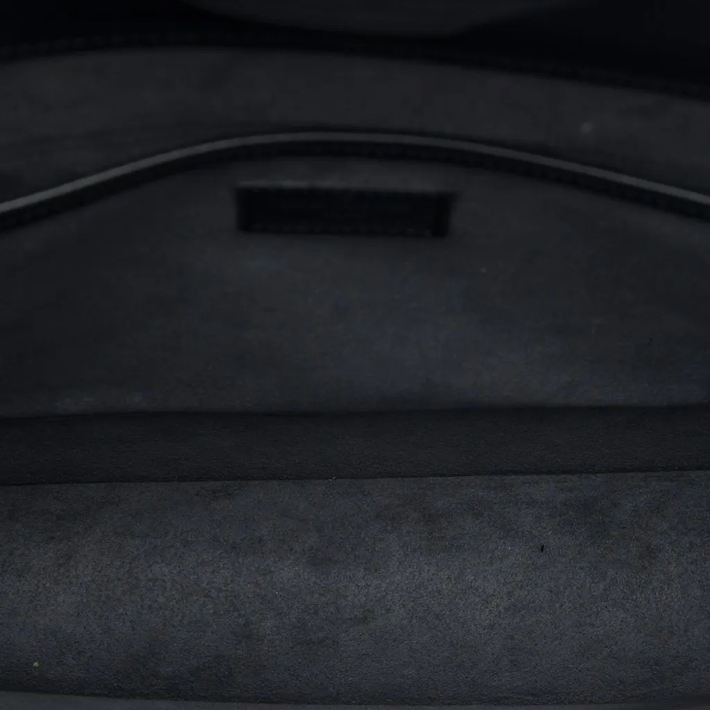 Louis Vuitton Epi Ombre Black Leather Good - Model View