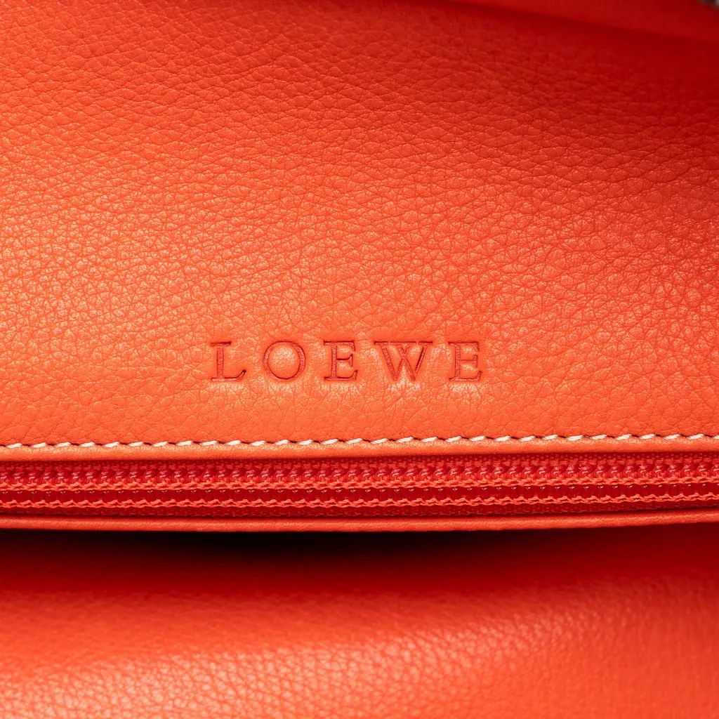 Loewe Suede Amazona 32 Orange Suede Good - Box View