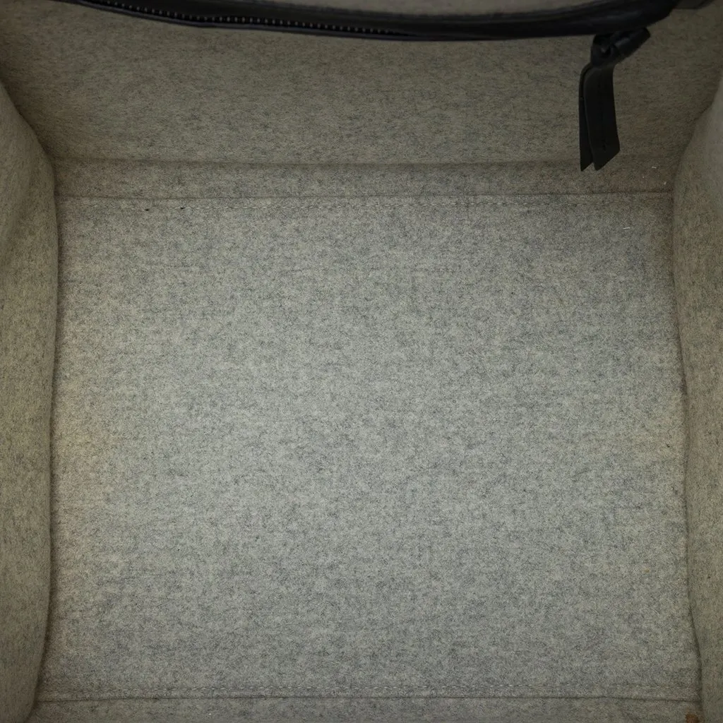 Celine Medium Felt Phantom Luggage Tote MultiColor Very good - Model View
