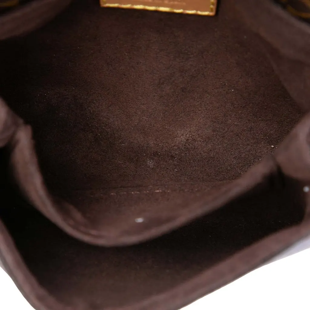 Louis Vuitton Monogram Micro Pochette Metis Brown Canvas Good - Model View