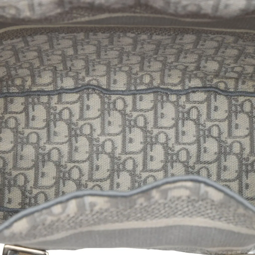 Dior Medium Oblique Canvas Diorcamp Bag Grey Canvas Very good - Model View