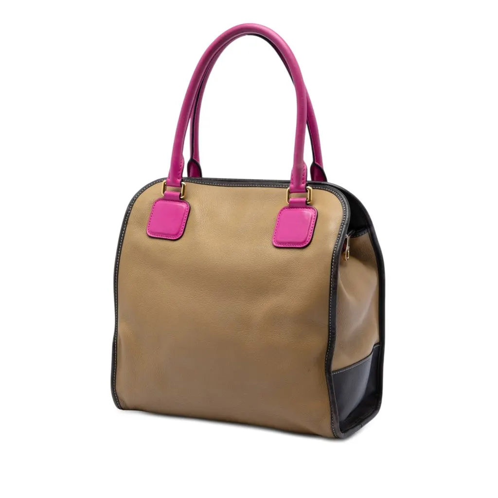 LOEWE Tricolor Leather Anagram Handbag Brown Leather Very good - Back View