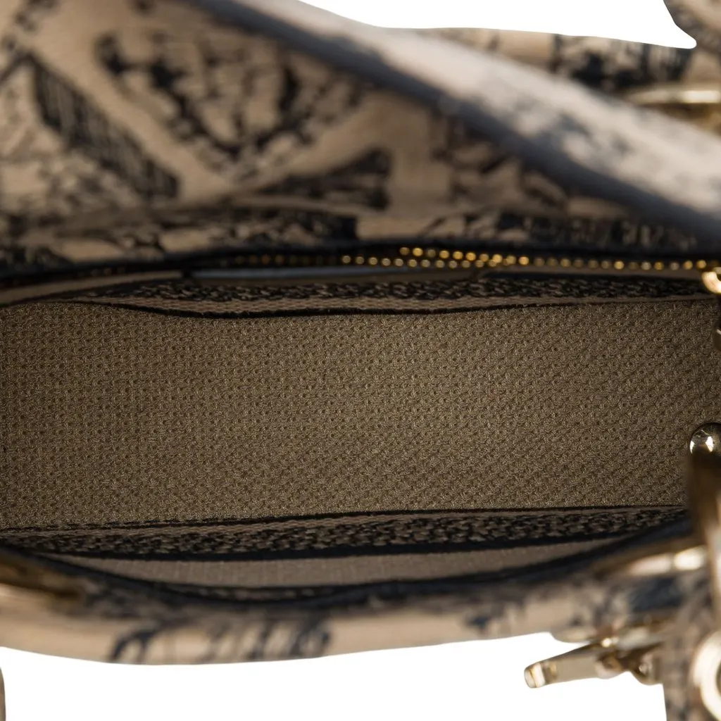 Dior Mini Embroidered Canvas Plan de Paris Lady D Lite Beige Canvas Very good - Model View