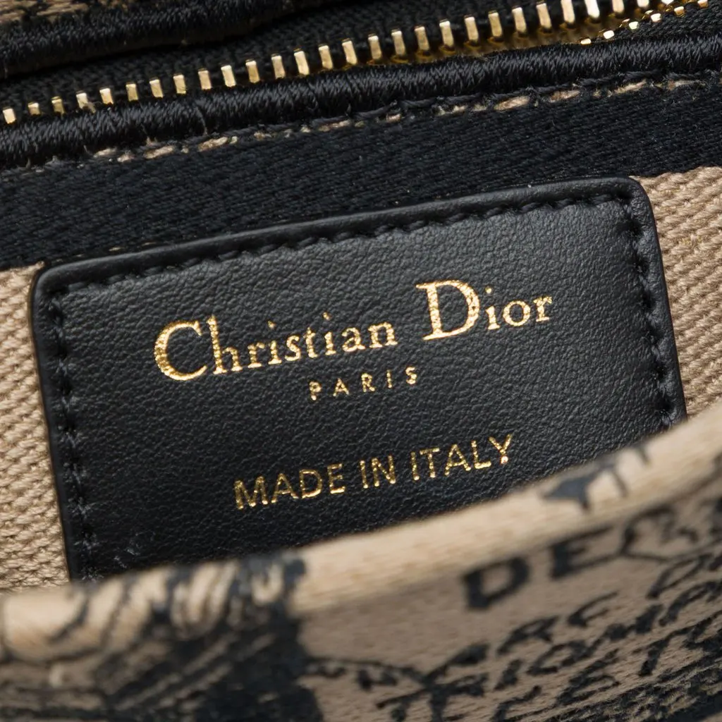 Dior Mini Embroidered Canvas Plan de Paris Lady D Lite Beige Canvas Very good - Box View