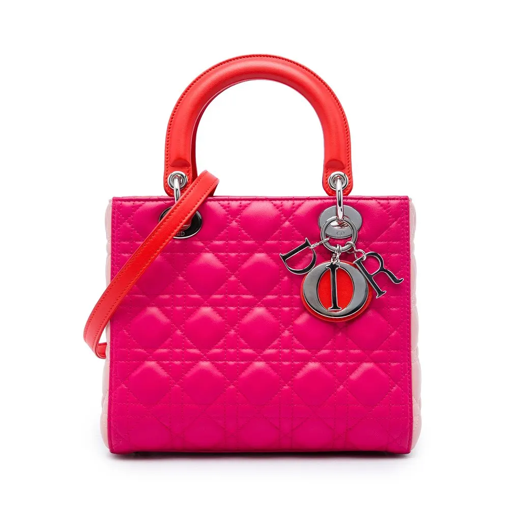 Dior متوسطة Tricolor جلد الحمل كاناج ليدي ديور