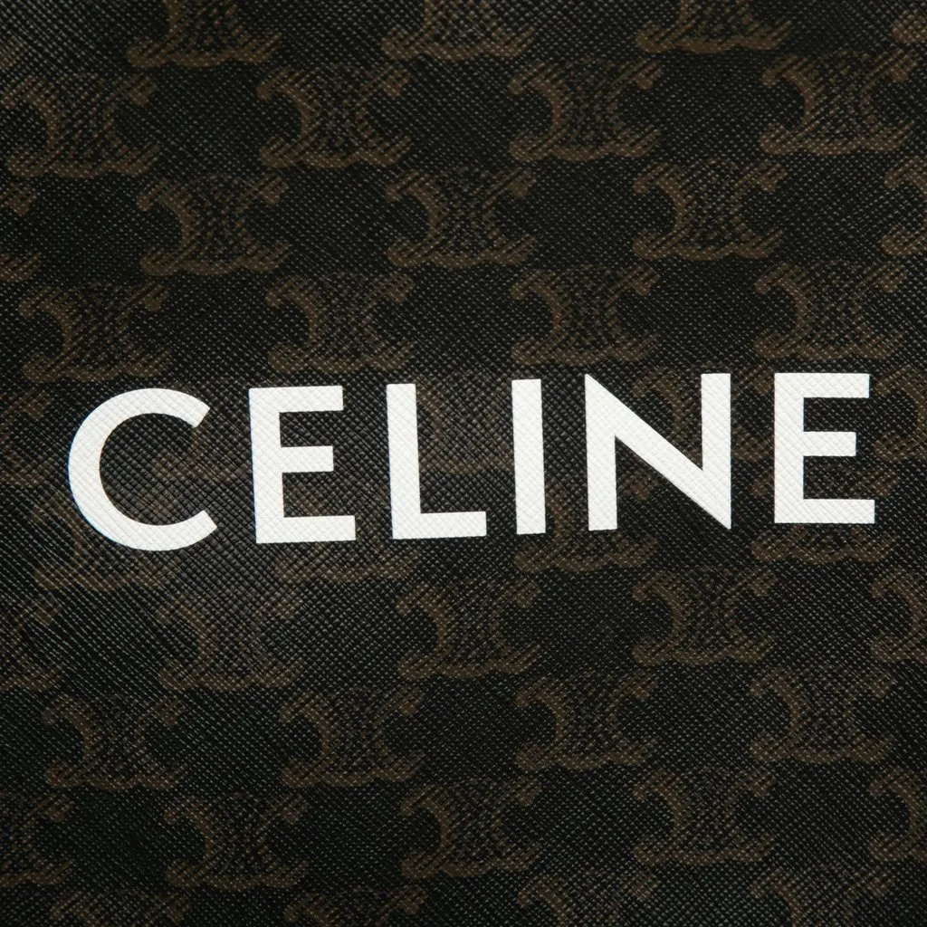 Celine Mini Triomphe Coated Canvas Vertical Cabas Satchel Brown Very good - Box View