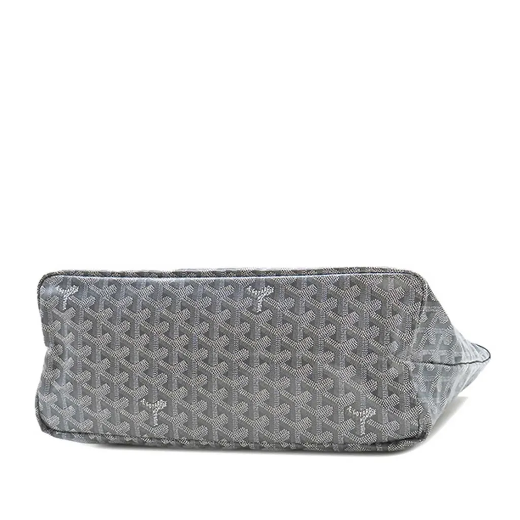 Goyard Goyardine Saint Louis PM MultiColor Never worn - Model View