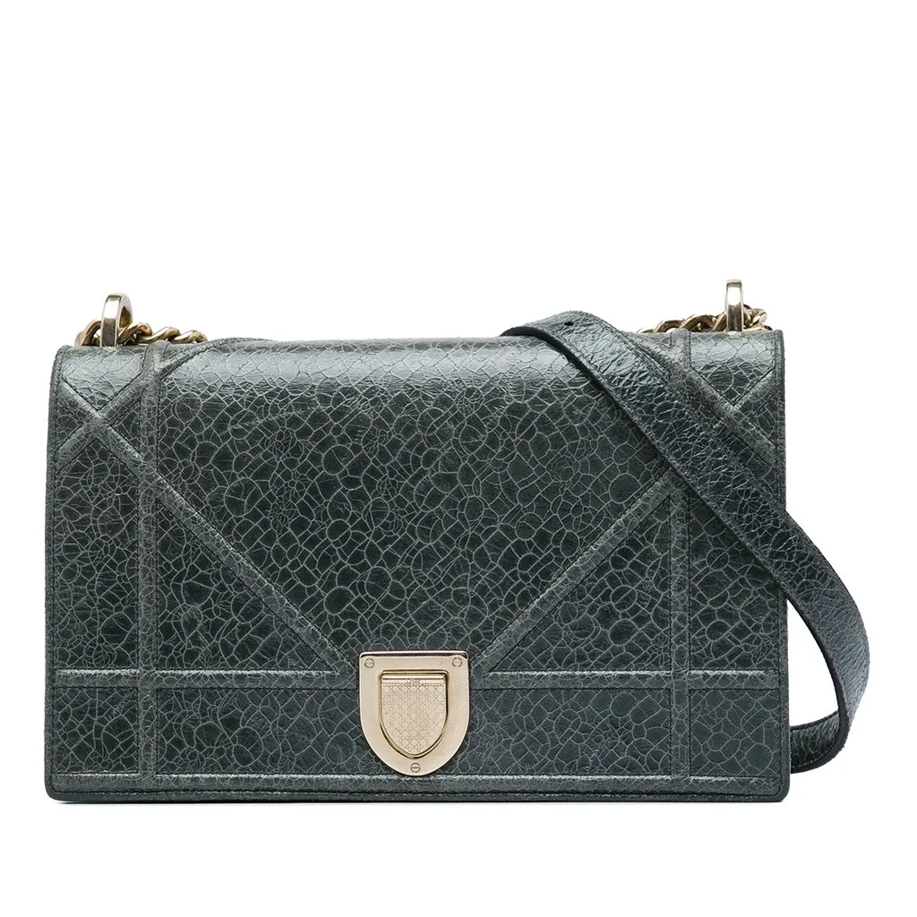 Dior Medium Crackled Deerskin Diorama Flap MultiColor Leather Very good - Front View