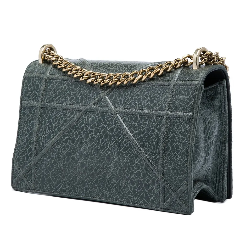 Dior Medium Crackled Deerskin Diorama Flap MultiColor Leather Very good - Back View