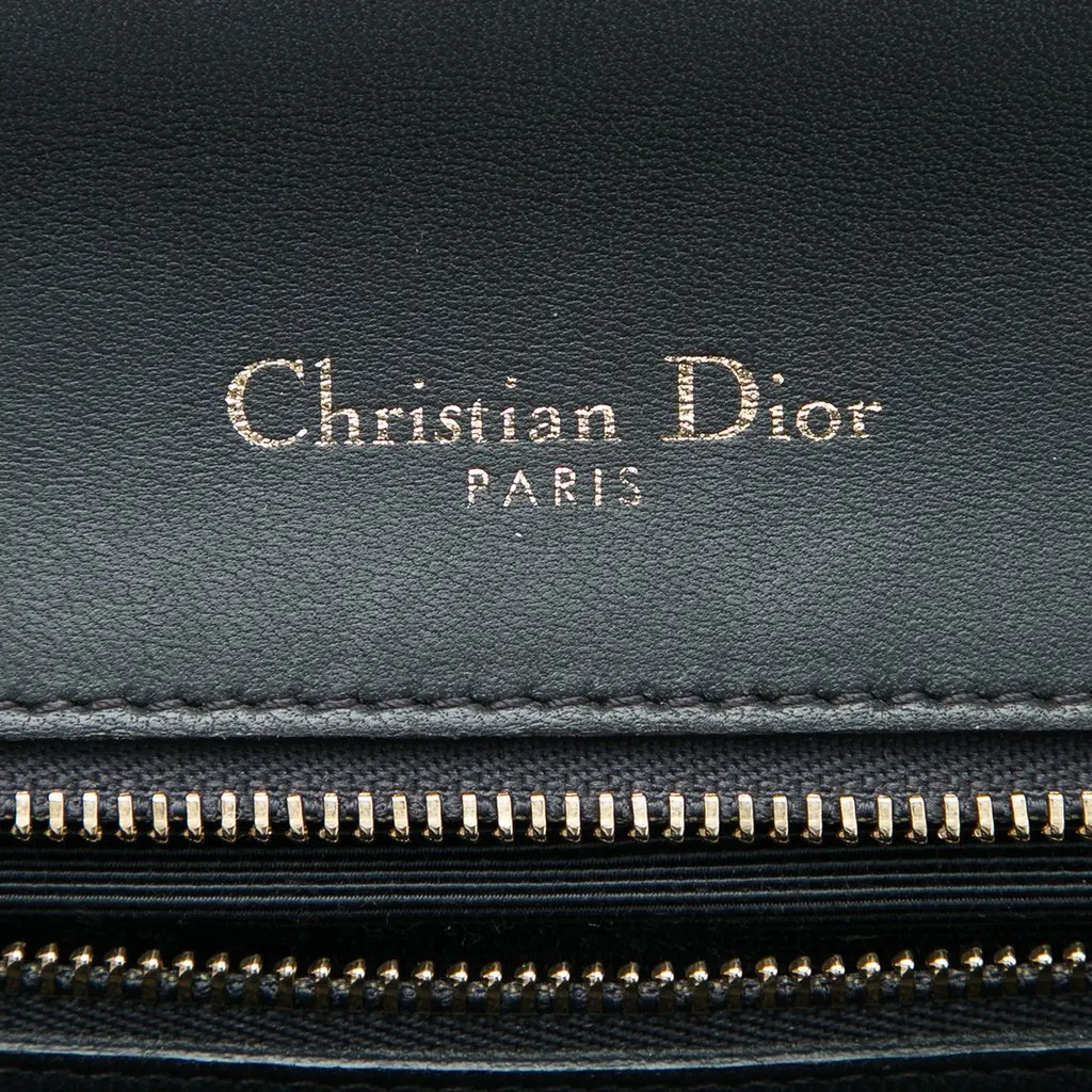 Dior Medium Crackled Deerskin Diorama Flap MultiColor Leather Very good - Box View