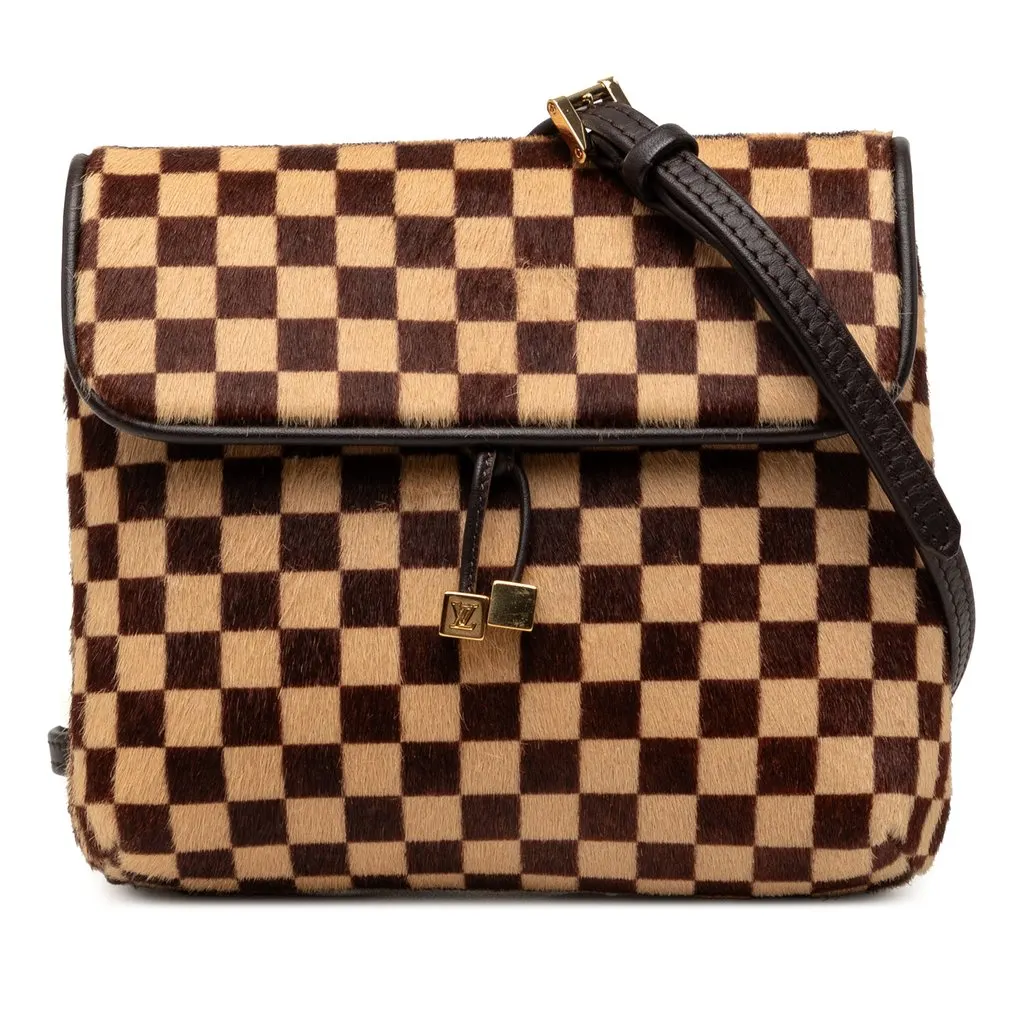 Louis Vuitton Damier Sauvage Gazelle Brown Leather Very good - Front View
