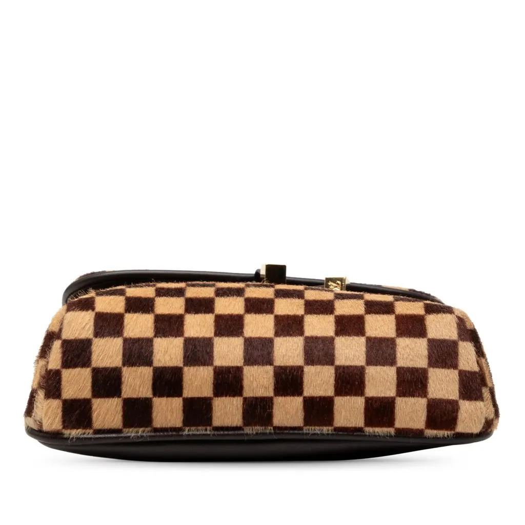 Louis Vuitton Damier Sauvage Gazelle Brown Leather Very good - Inside View