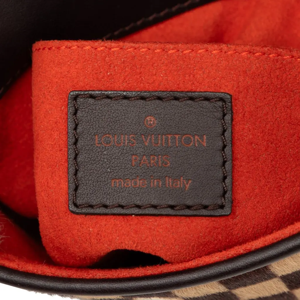 Louis Vuitton Damier Sauvage Gazelle Brown Leather Very good - Box View