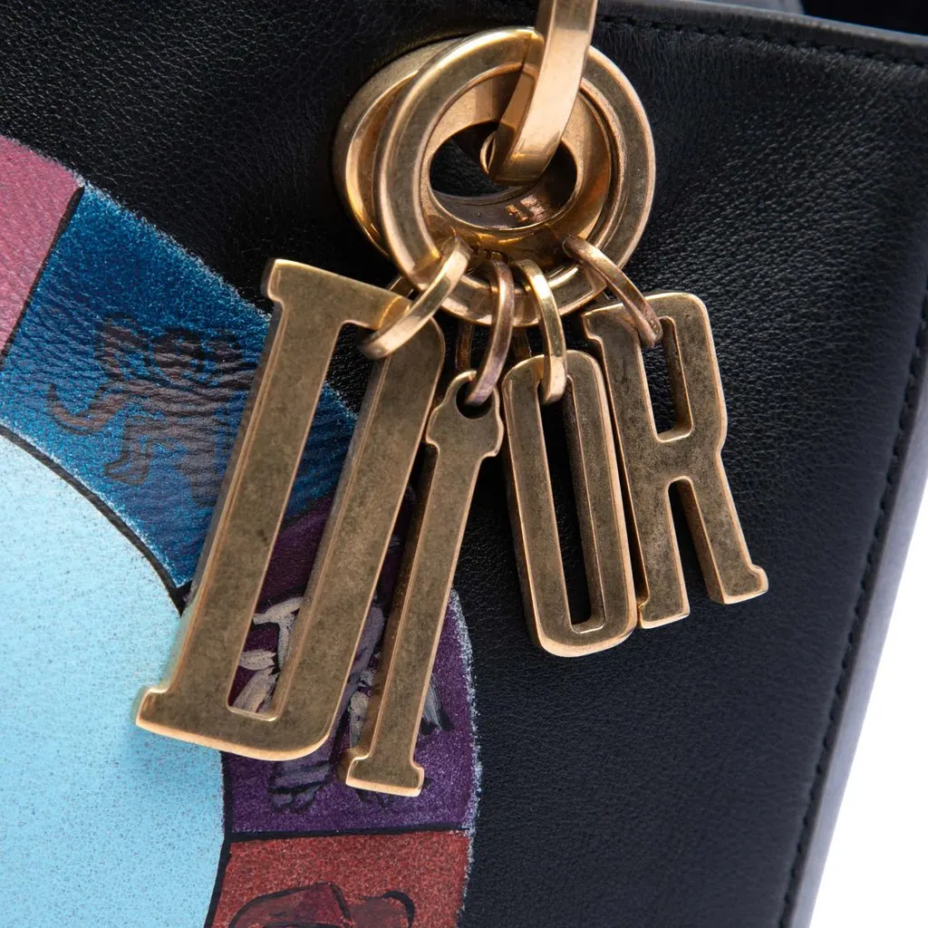 Dior Medium Calfskin Wheel of Fortune Tarot Lady Dior Black Leather Very good - Box View