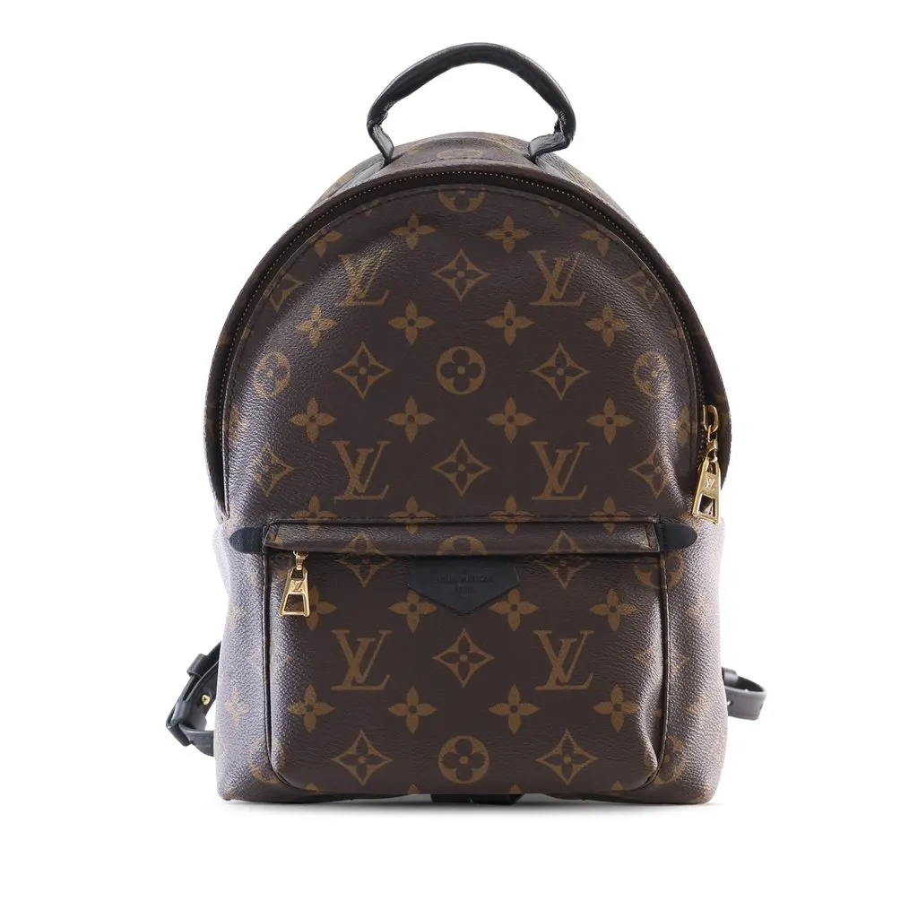 Louis Vuitton Monogram Palm Springs PM Brown Very good - Front View