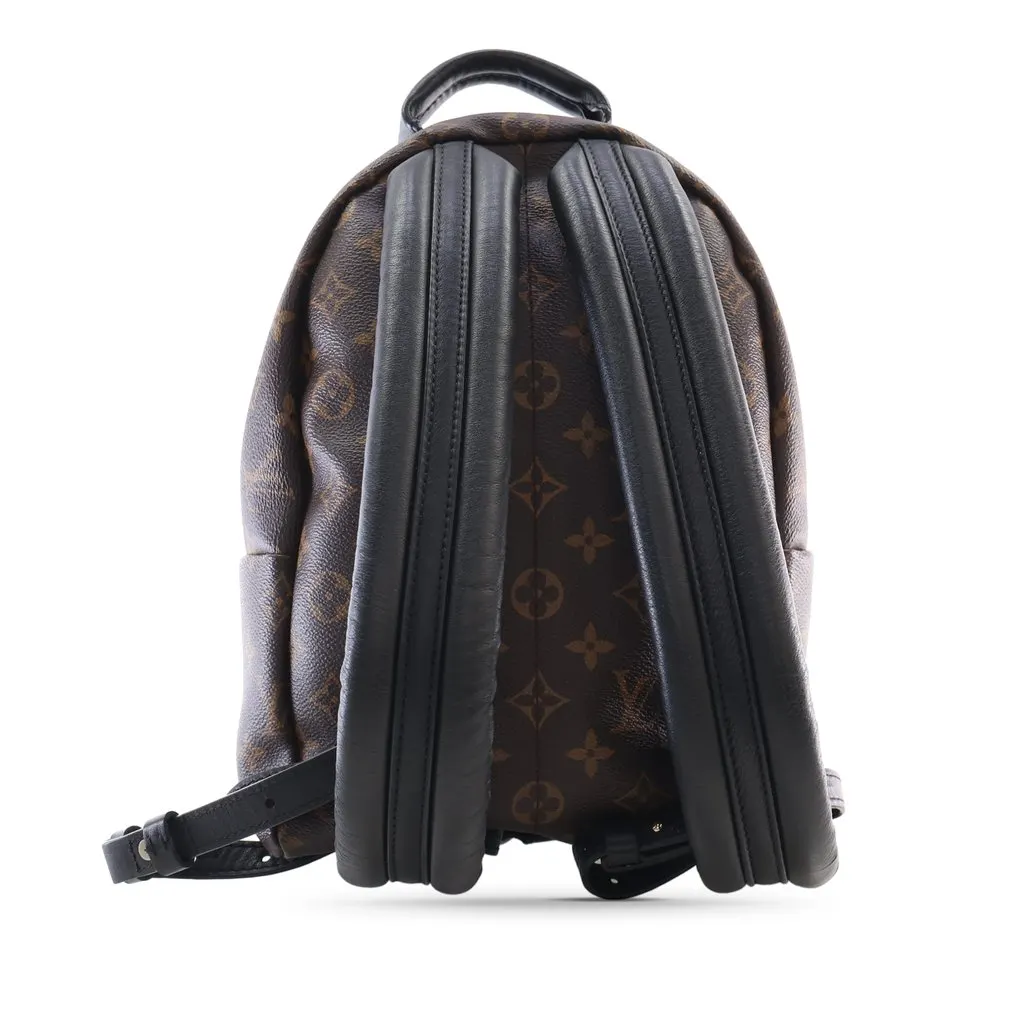 Louis Vuitton Monogram Palm Springs PM Brown Very good - Back View
