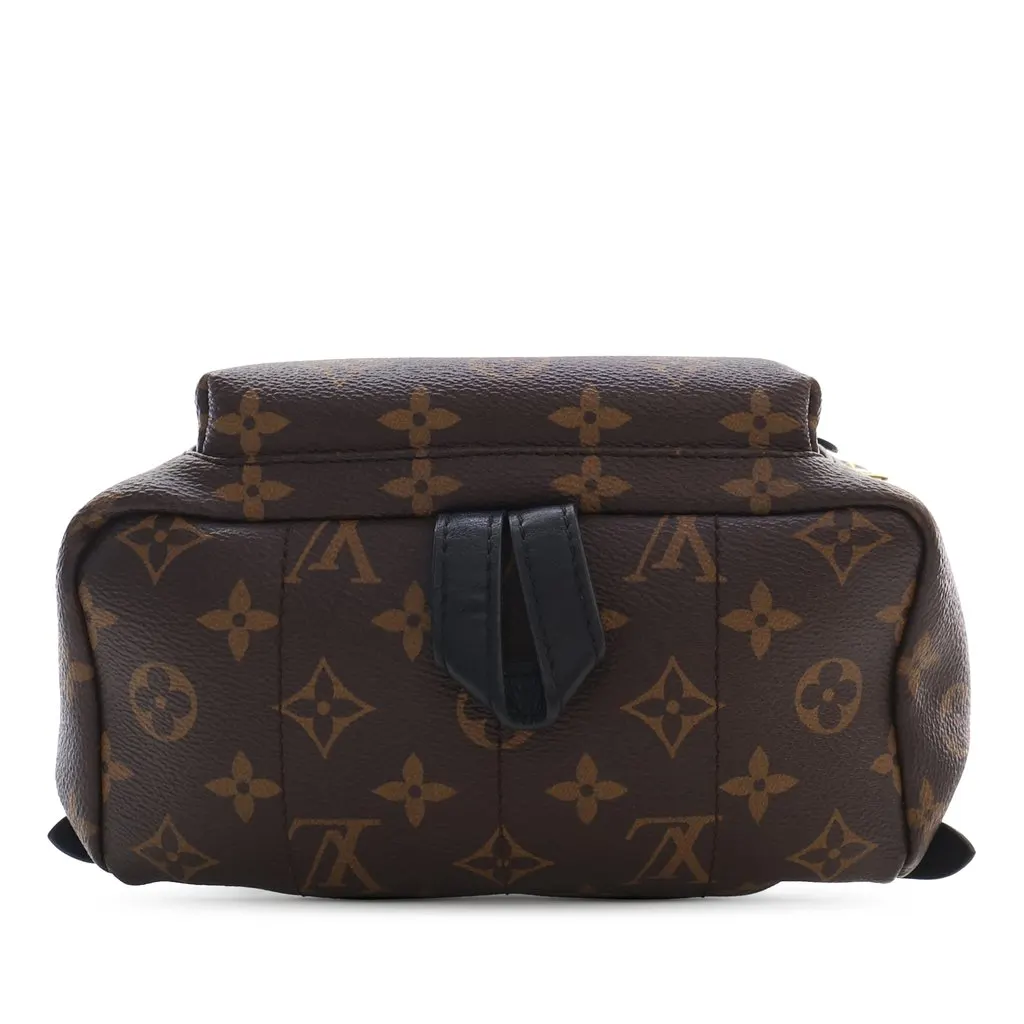 Louis Vuitton Monogram Palm Springs PM Brown Very good - Inside View