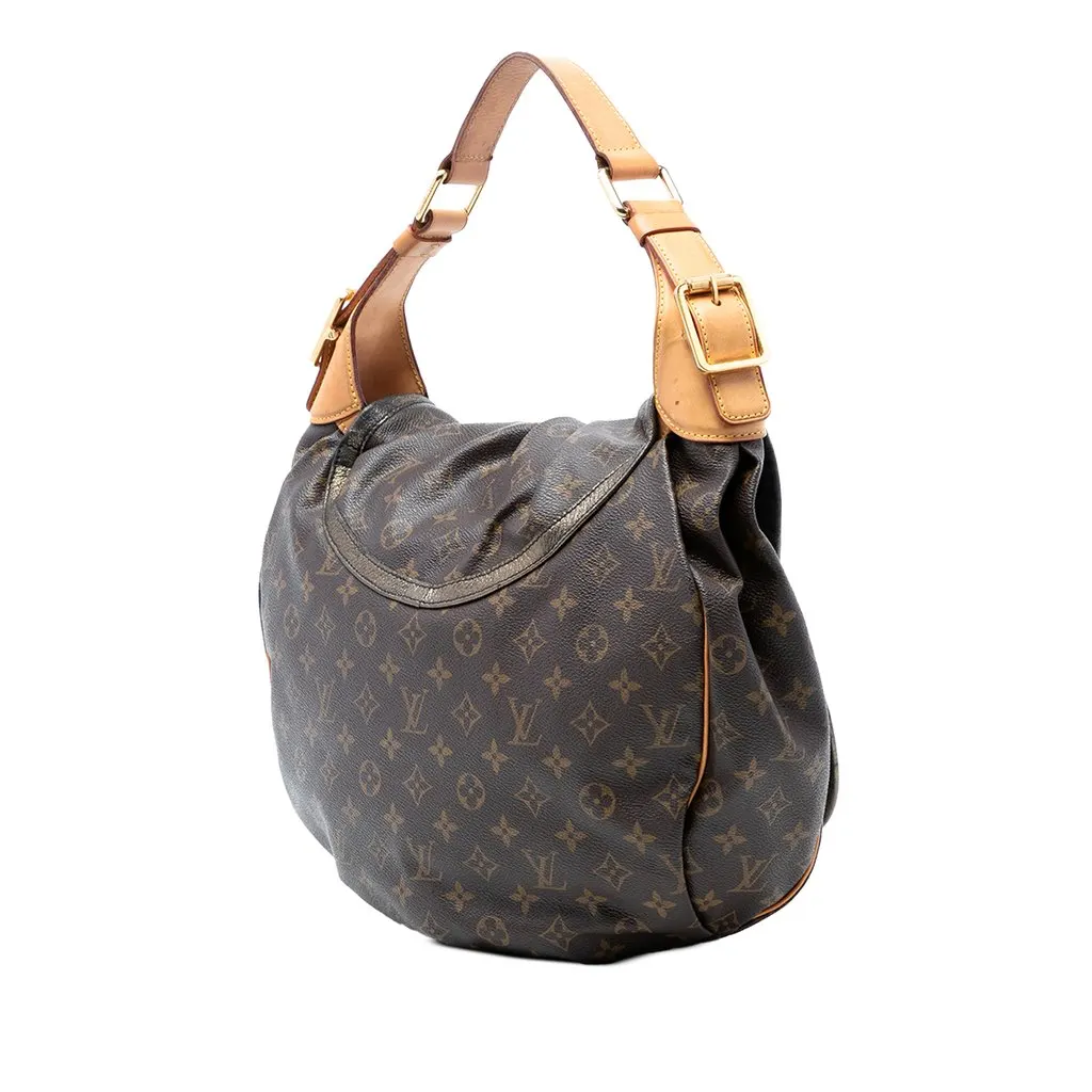 Louis Vuitton Limited Edition Monogram Epices Kalahari GM Brown Very good - Back View