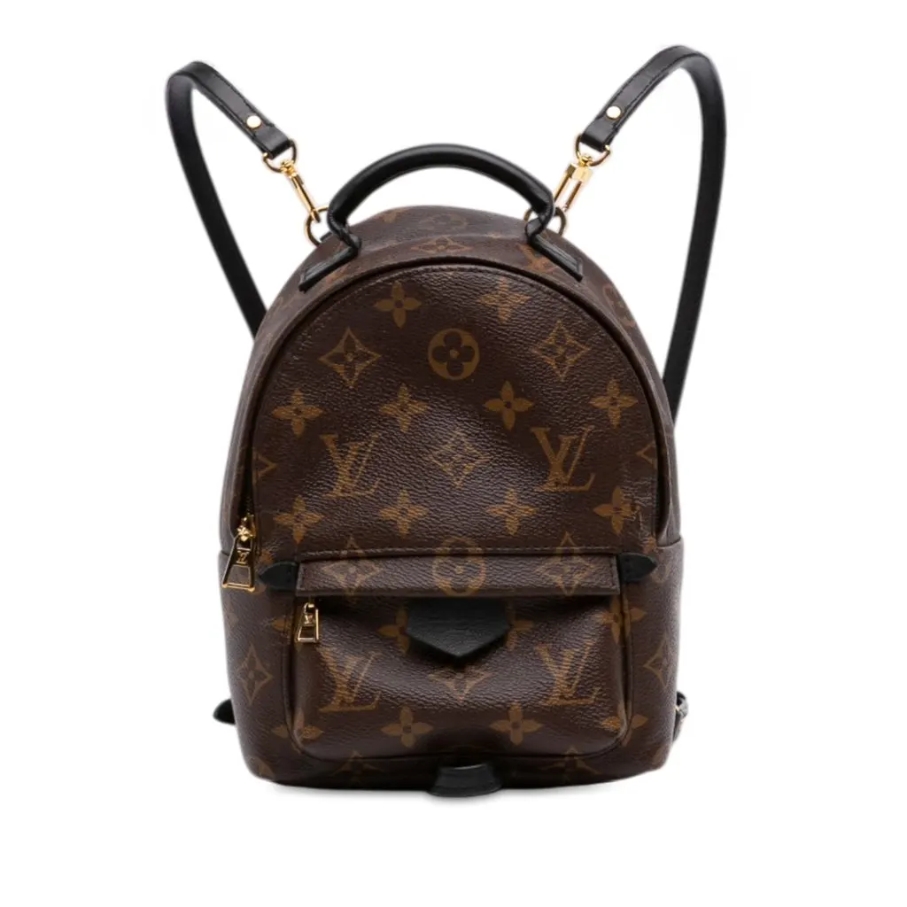 Louis Vuitton Monogram Mini Palm Springs Brown Very good - Front View