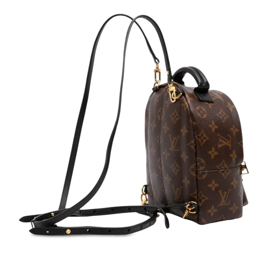 Louis Vuitton Monogram Mini Palm Springs Brown Very good - Back View