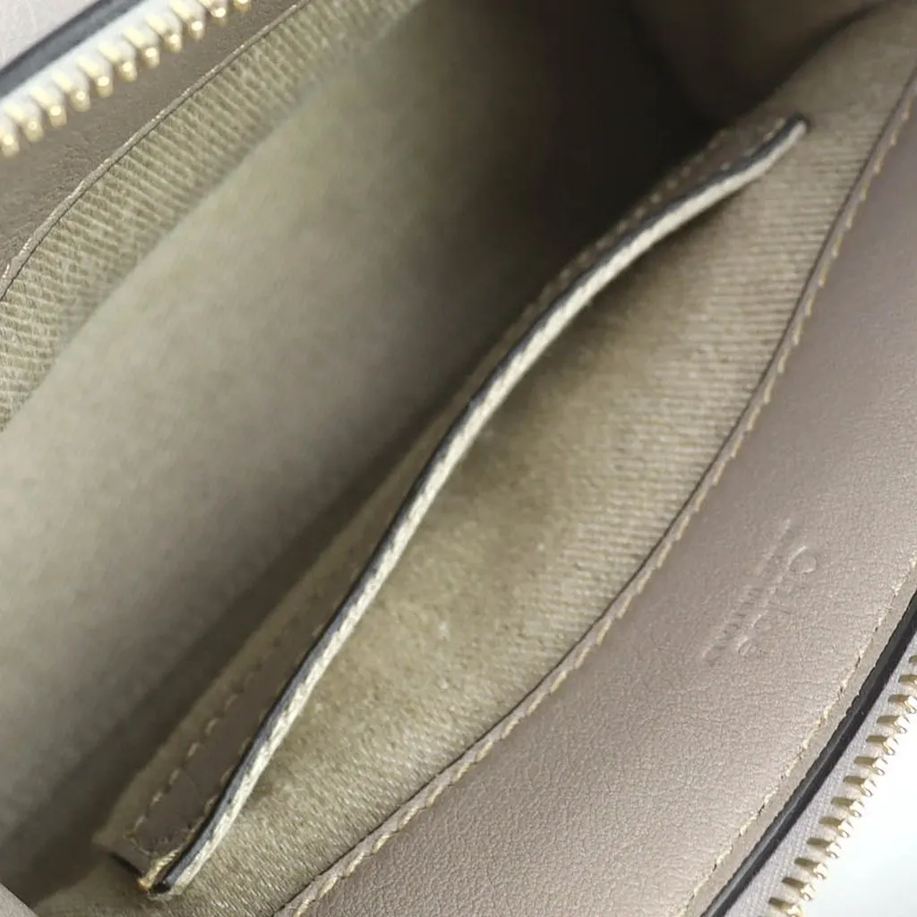 Chloé Mini Buffalo Leather Edith Day Satchel MultiColor Leather Very good - Model View