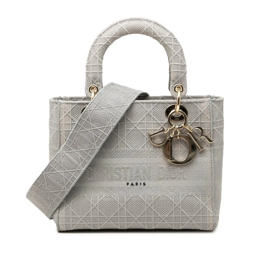 Dior Medium Embroidered Canvas Cannage Lady D Lite MultiColor Very good - Front View