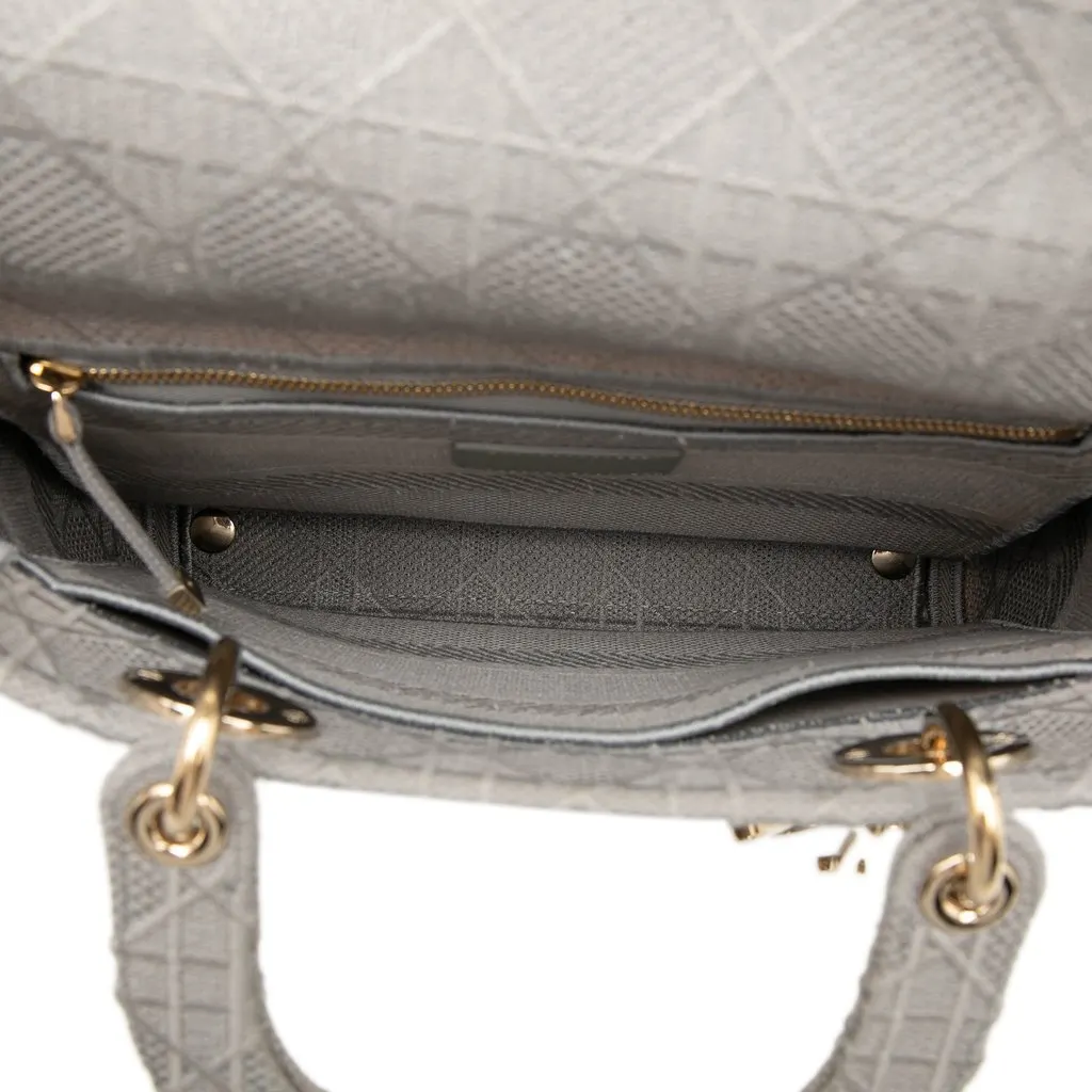 Dior Medium Embroidered Canvas Cannage Lady D Lite MultiColor Very good - Model View