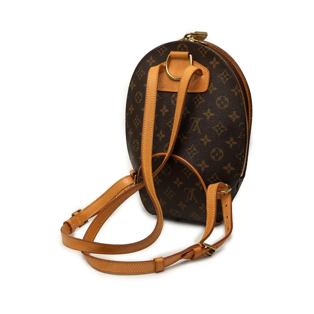 Louis Vuitton Monogram Ellipse Sac a Dos Backpack Brown Very good - Back View